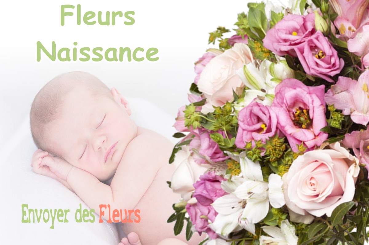 lIVRAISON FLEURS NAISSANCE à SAINT-PAUL-D-OUEIL